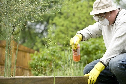 A man wearing safety equipment and spraying pesticides on his garden