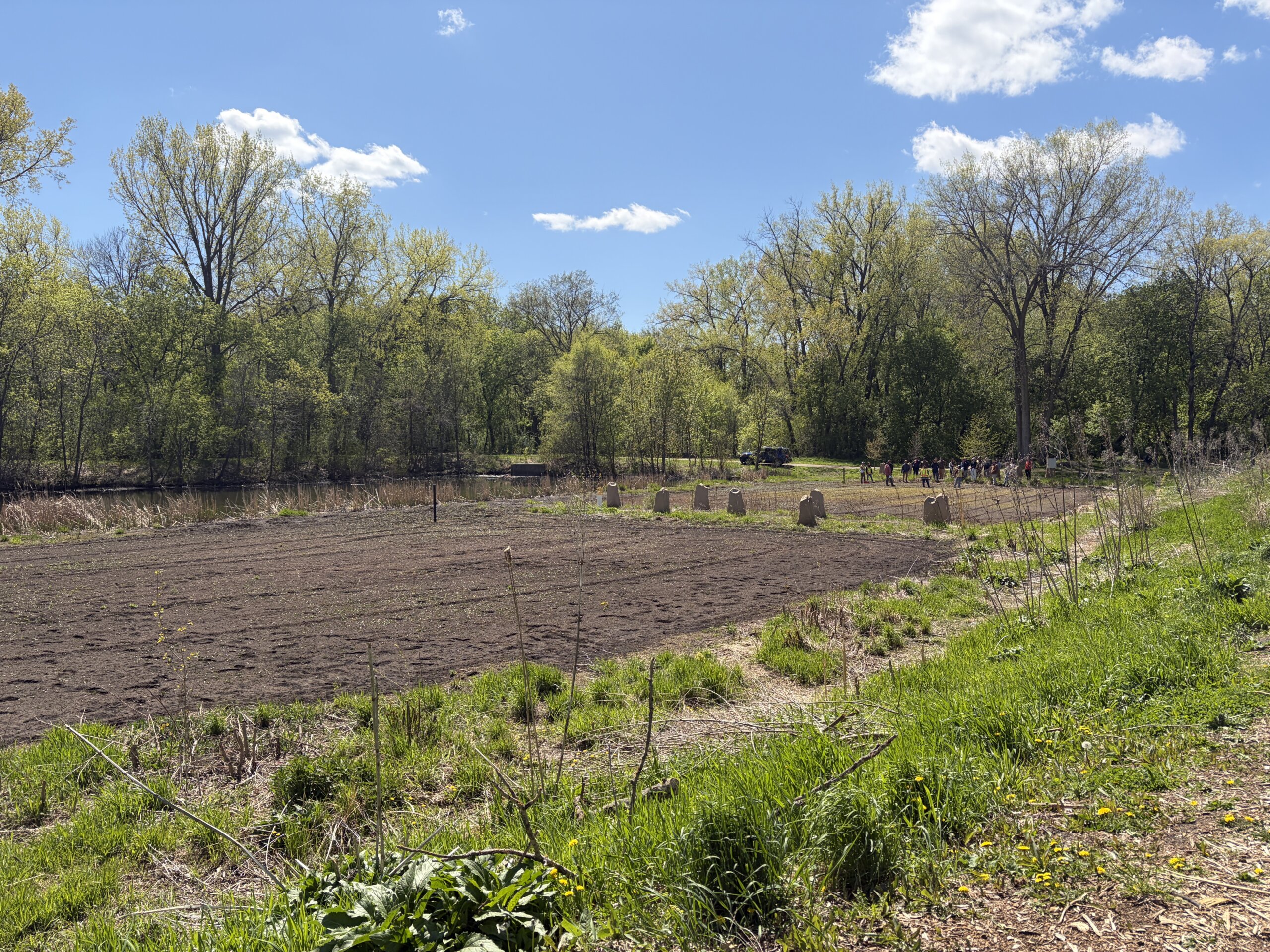 Woodcrest Creek filter freshly tilled
