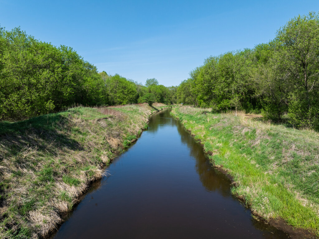 Water is flowing through the creek channel. Spring vegetation covers the banks and flood bench along the creek. 
